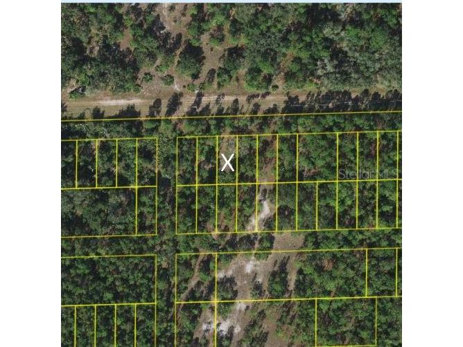 18th Avenue Saint Cloud FL 34769 O6313683 image1