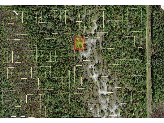 18th Avenue Saint Cloud FL 34771 O6150818 image3