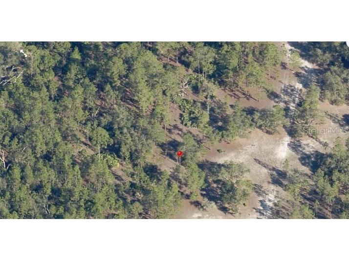 18th Avenue Saint Cloud FL 34771 O6150818 image4