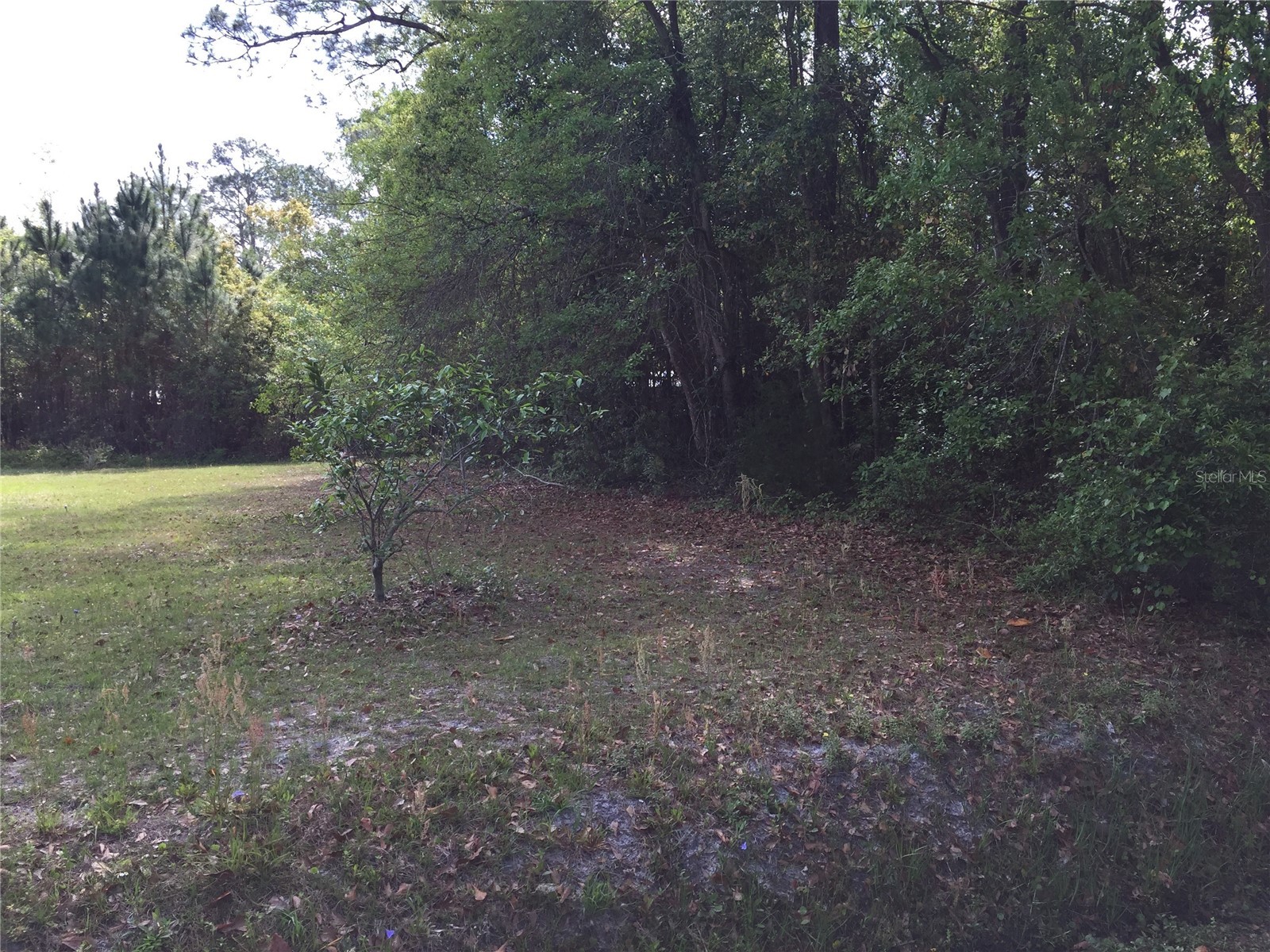 18th Apalachicola FL 32320 TB8465660 image2