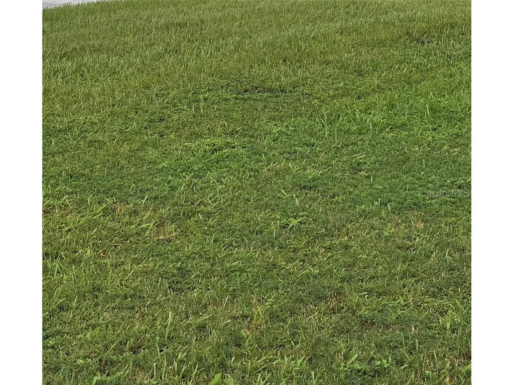 18th Tampa FL 33605 TB8304221 image1
