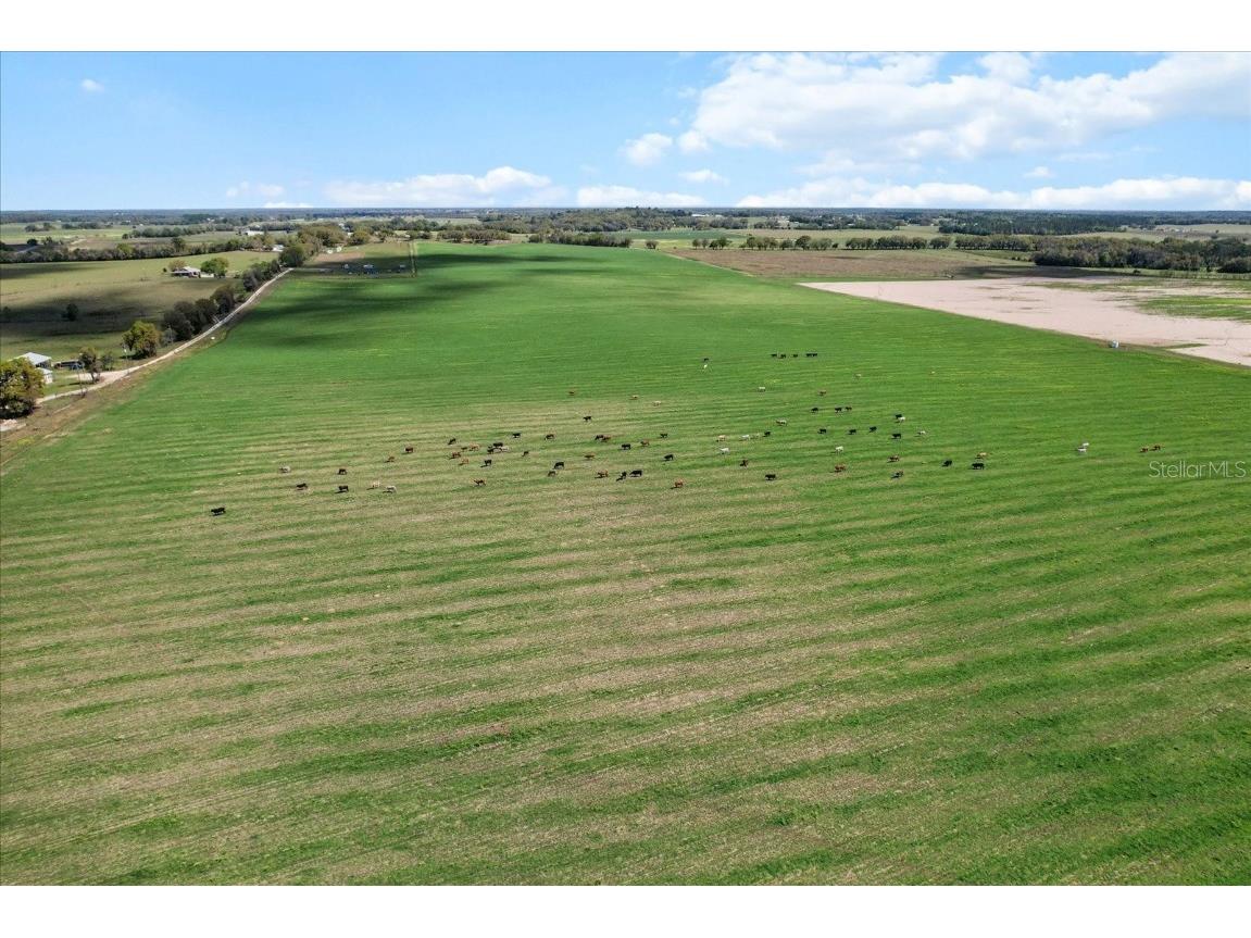 (190 AC-see addt'l PID's) NW 225th Avenue Dunnellon FL 34431 G5094195 image10