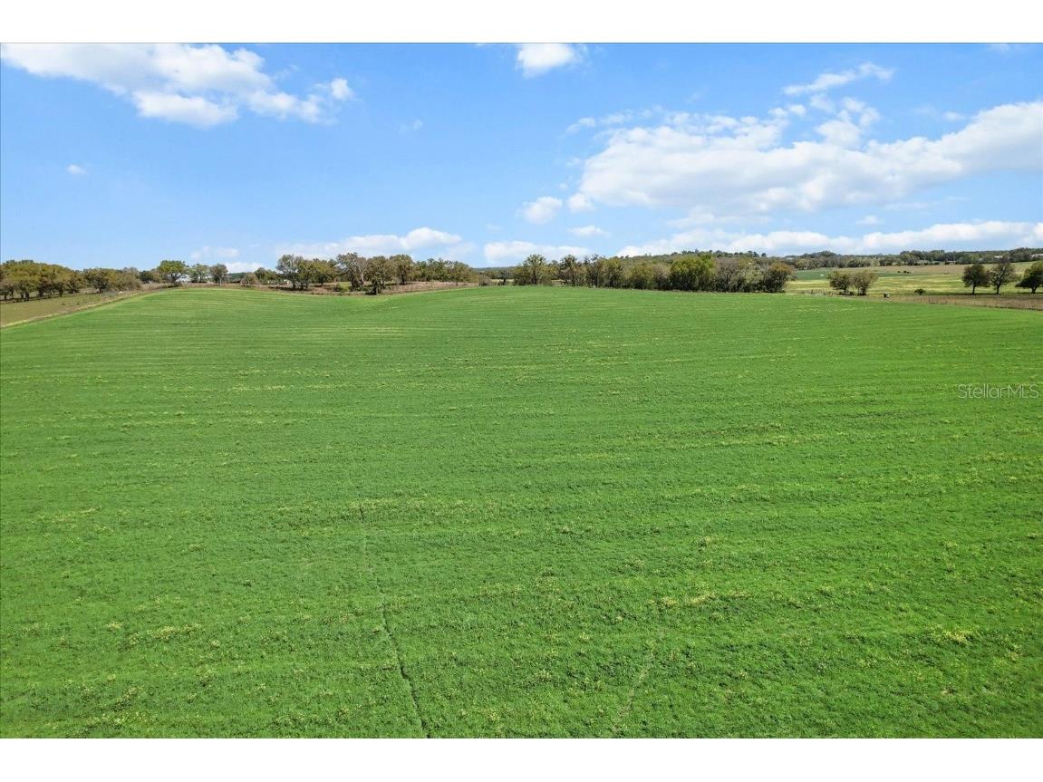(190 AC-see addt'l PID's) NW 225th Avenue Dunnellon FL 34431 G5094195 image11