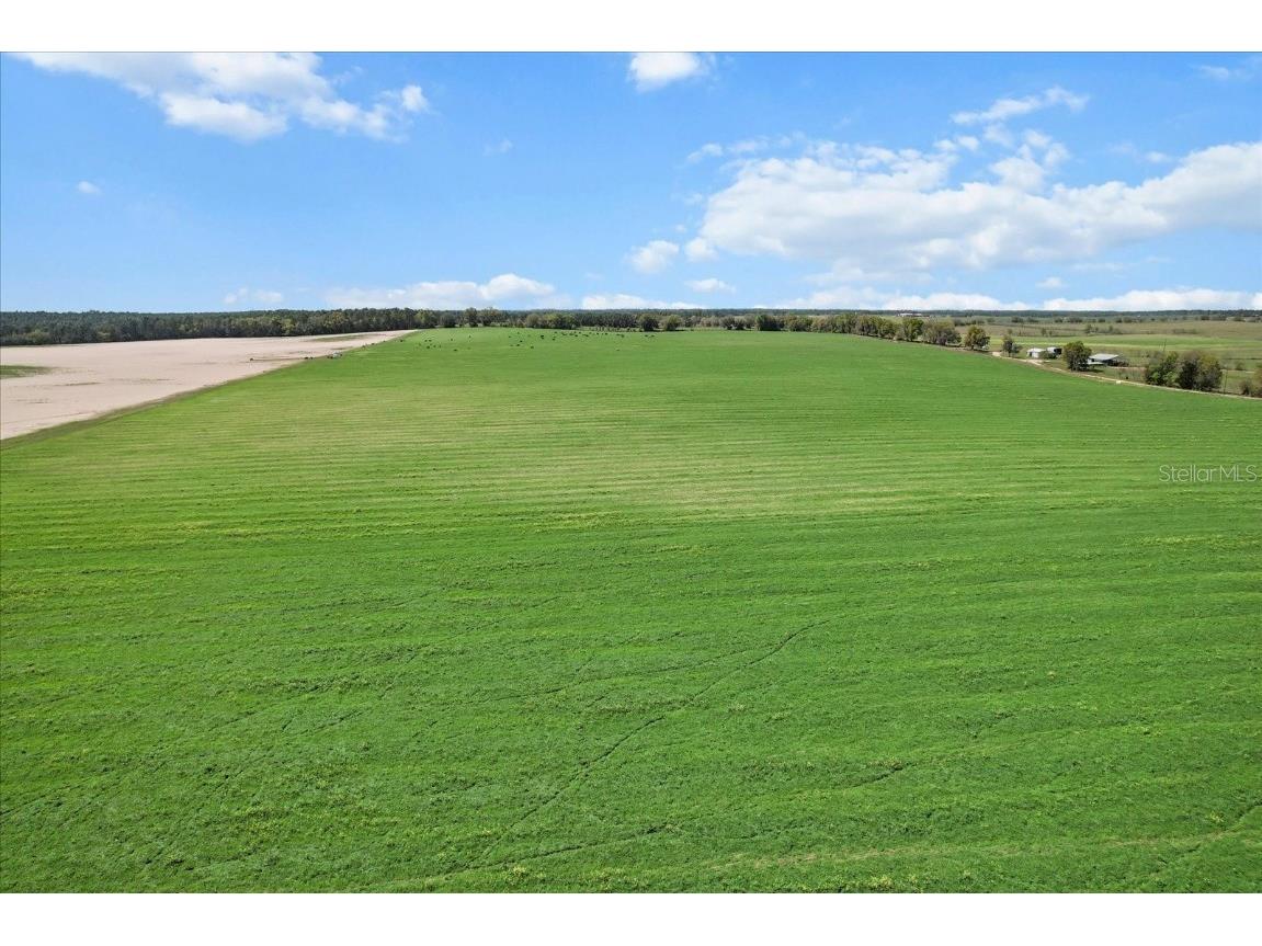 (190 AC-see addt'l PID's) NW 225th Avenue Dunnellon FL 34431 G5094195 image12