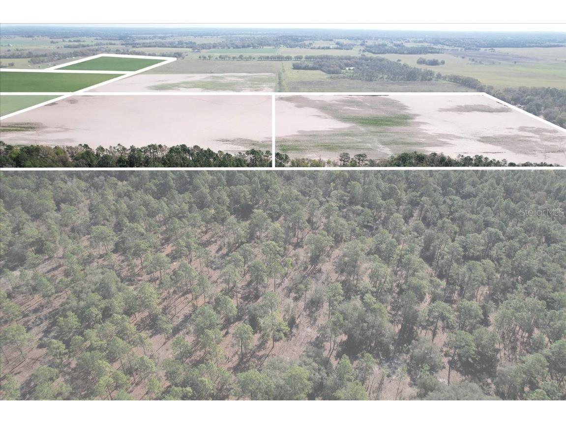 (190 AC-see addt'l PID's) NW 225th Avenue Dunnellon FL 34431 G5094195 image19