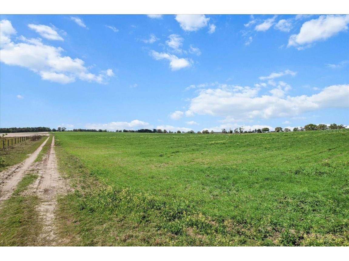 (190 AC-see addt'l PID's) NW 225th Avenue Dunnellon FL 34431 G5094195 image4