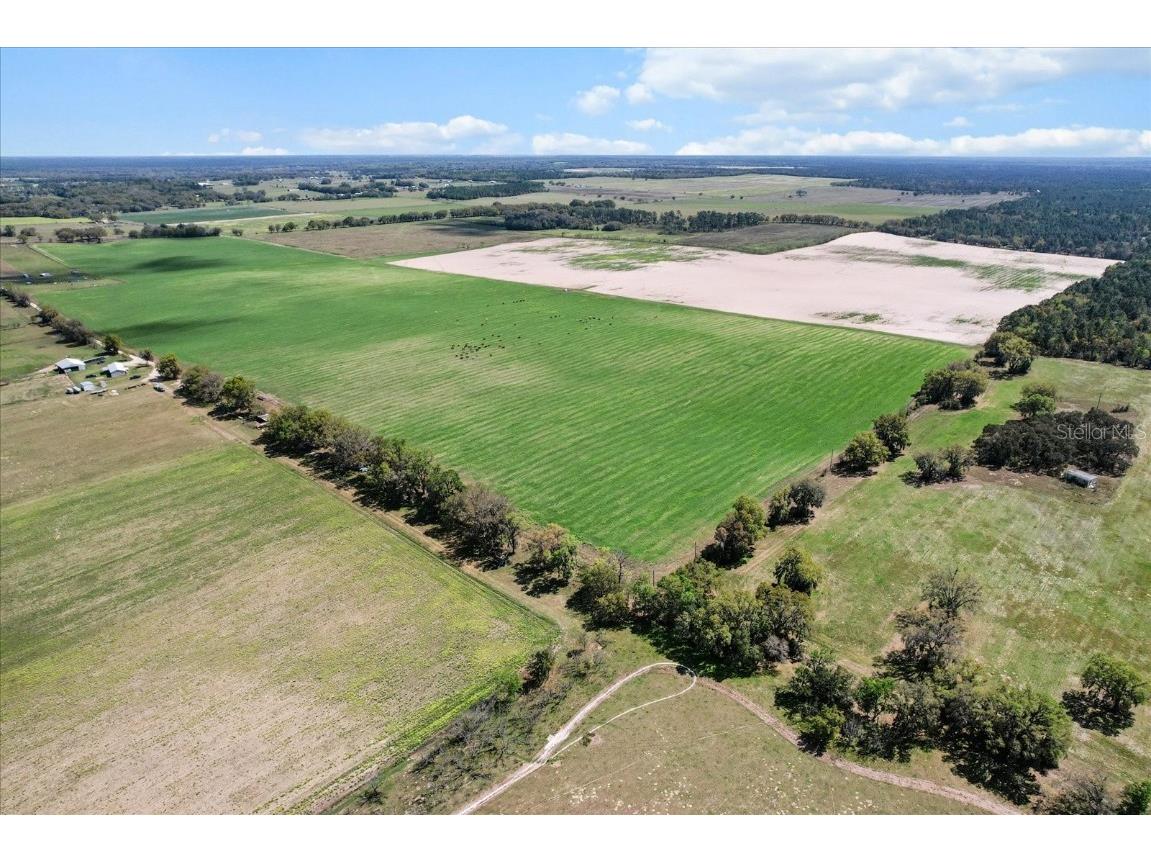 (190 AC-see addt'l PID's) NW 225th Avenue Dunnellon FL 34431 G5094195 image5
