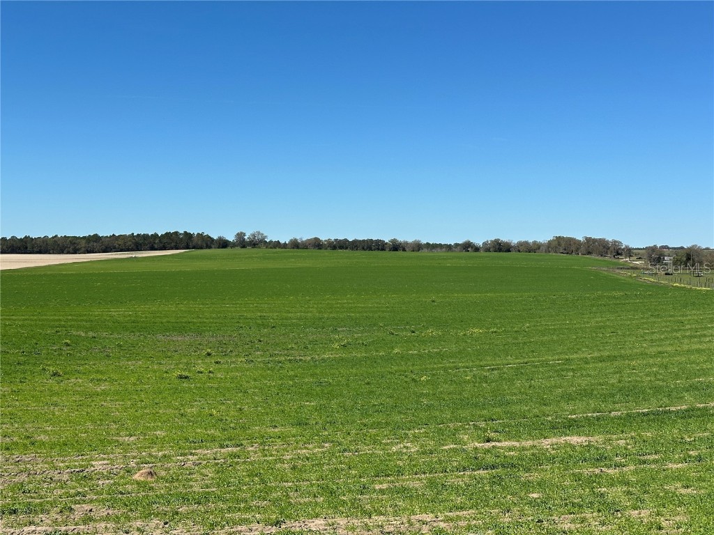 (190 AC-see addt'l PID's) NW 225th Avenue Dunnellon FL 34431 G5094195 image6