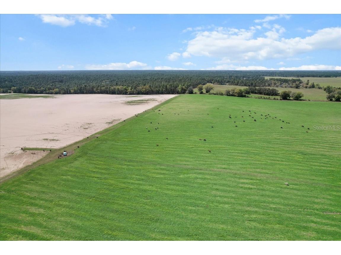 (190 AC-see addt'l PID's) NW 225th Avenue Dunnellon FL 34431 G5094195 image7