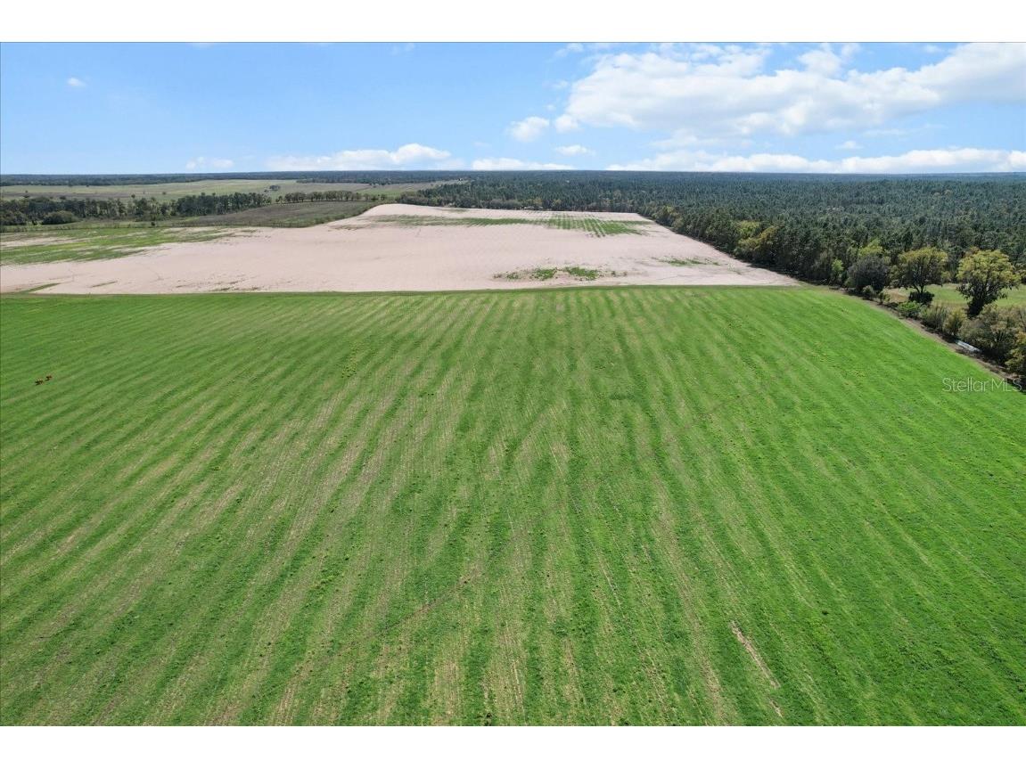 (190 AC-see addt'l PID's) NW 225th Avenue Dunnellon FL 34431 G5094195 image8