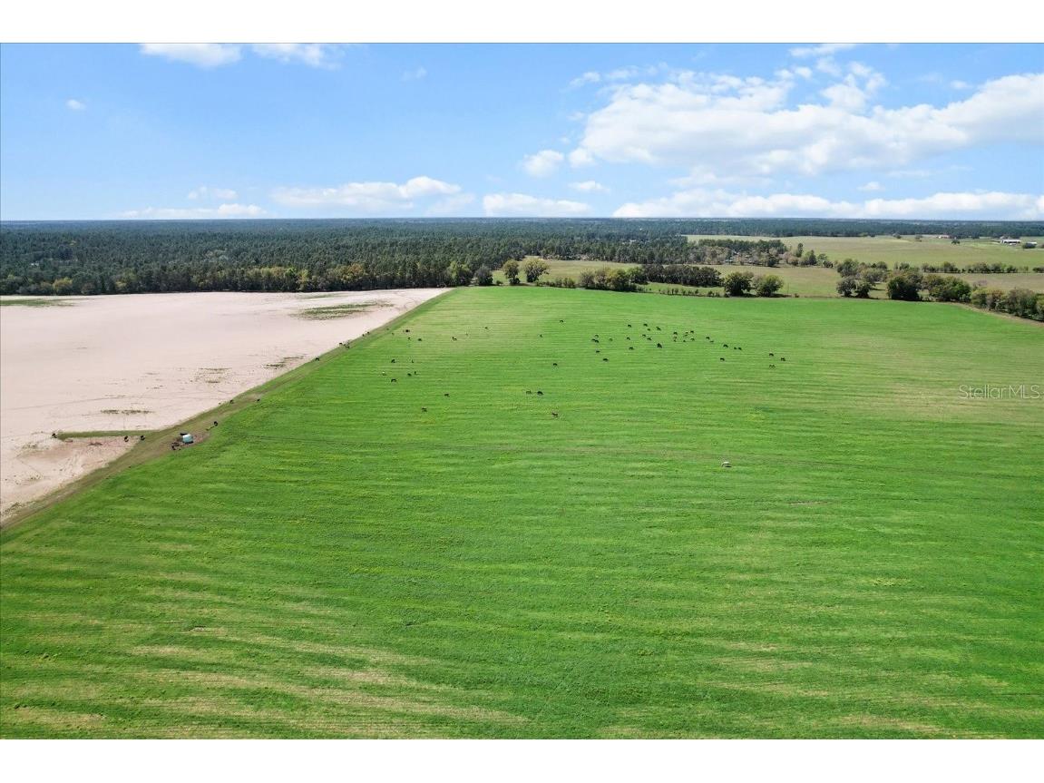 (190 AC-see addt'l PID's) NW 225th Avenue Dunnellon FL 34431 G5094195 image9