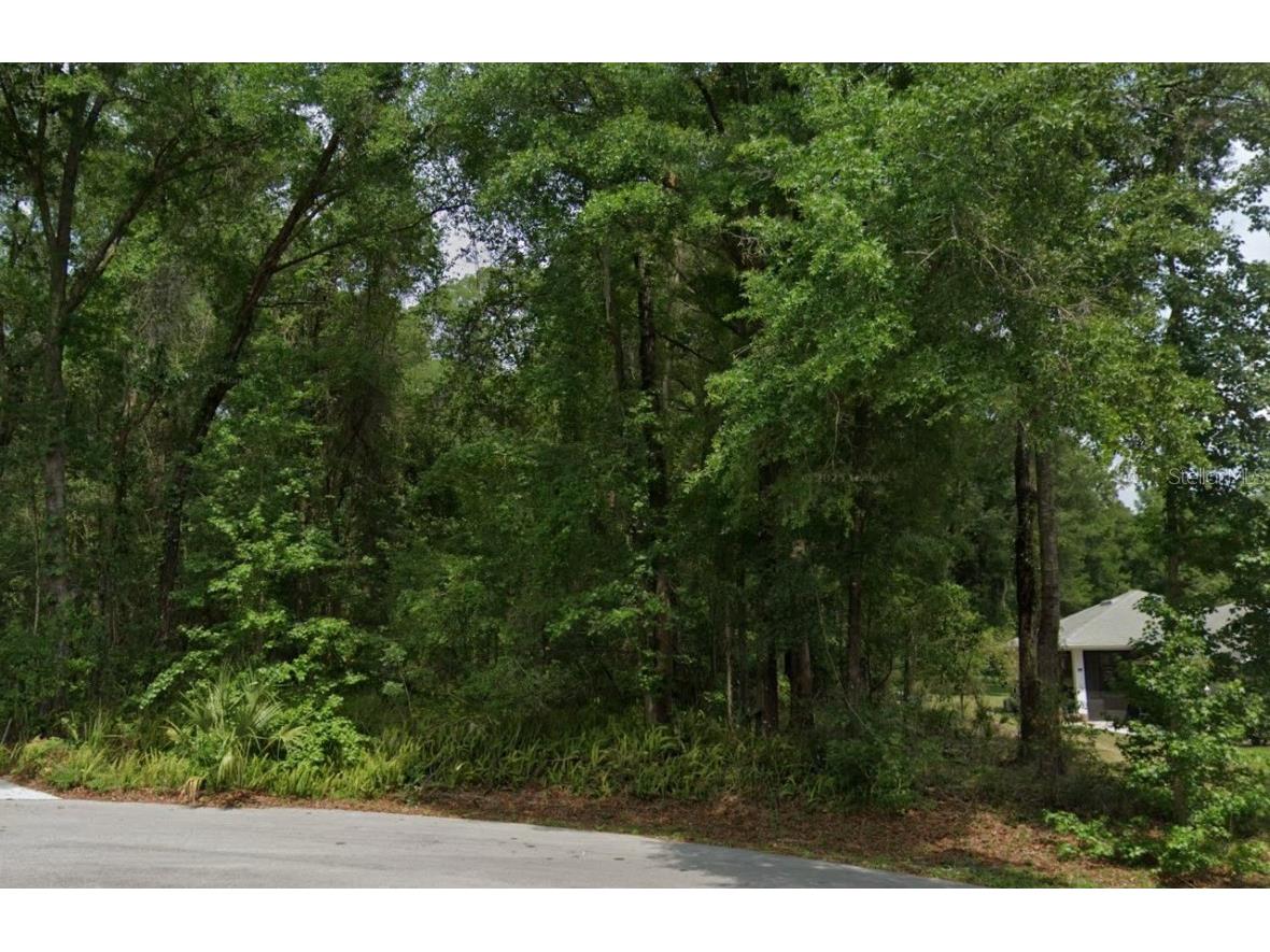 190th Terrace Dunnellon FL 34432 R4909292 image1