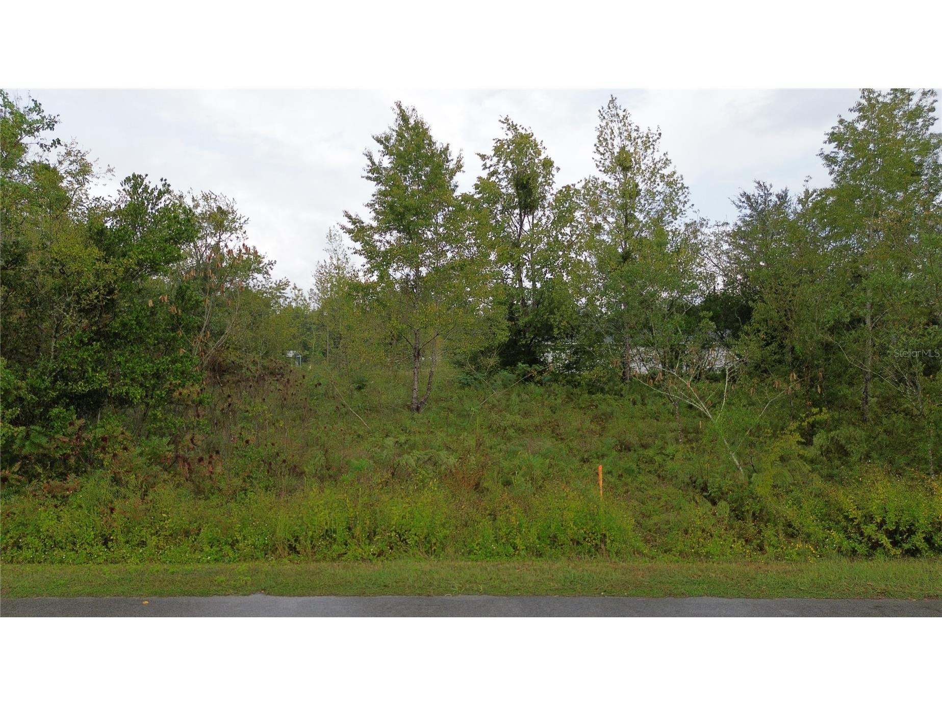 1917 Nw 4th St Ocala FL 34471 O6396500 image1