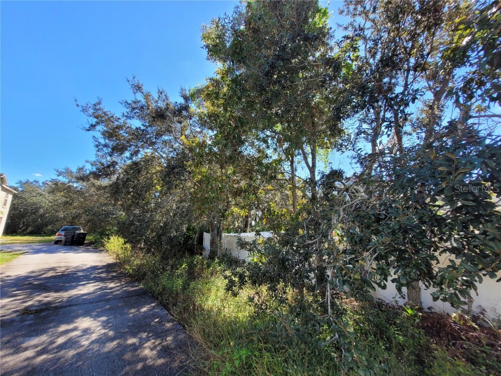 1929 Manatee Drive Poinciana FL 34759 OM712598 image5