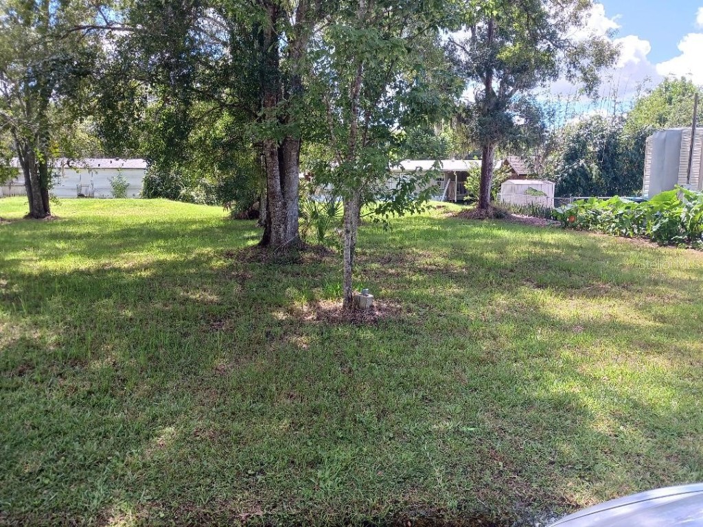 1st Avenue Orlando FL 32820 O6145454 image1