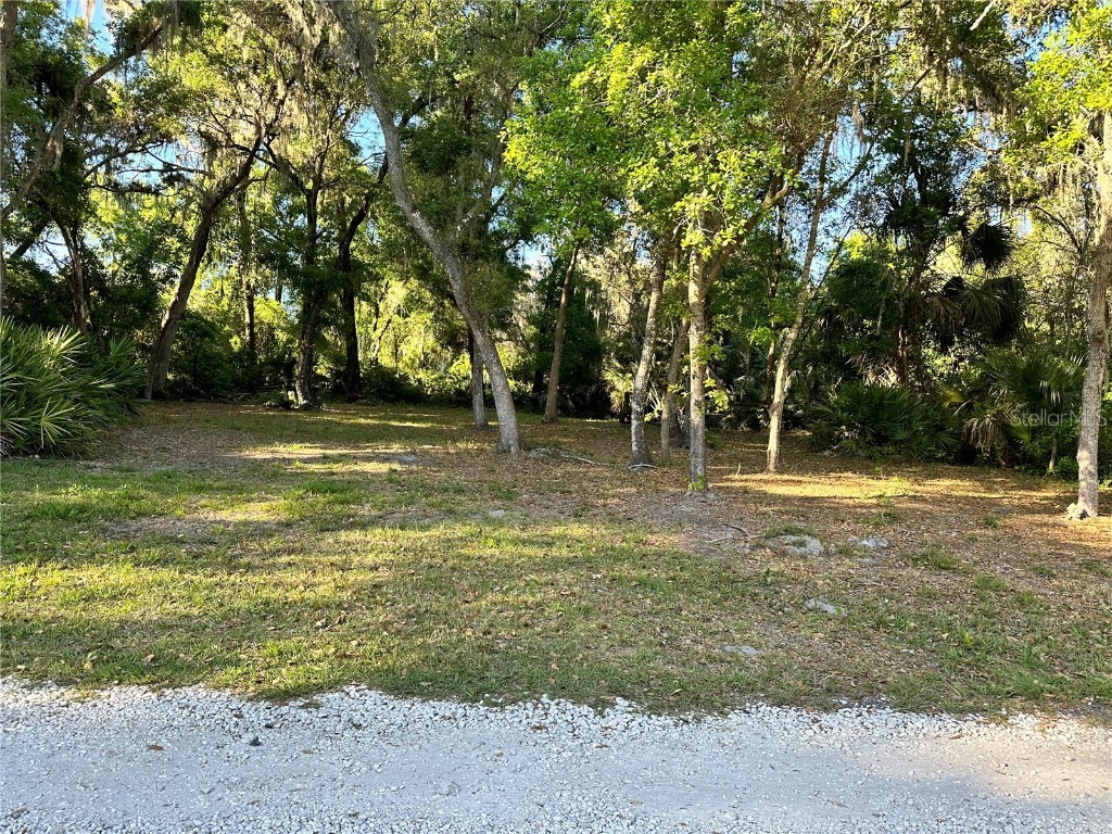 1st Street Osteen FL 32764 V4935245 image1
