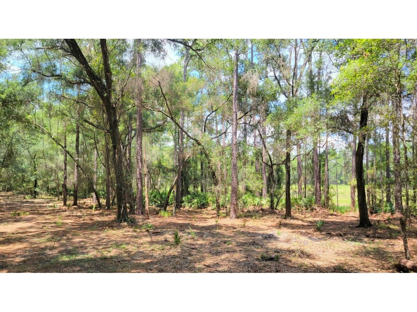 #1a - 10.01ac NE 150th Ave Rd Fort Mc Coy FL 32134 OM668702 image1