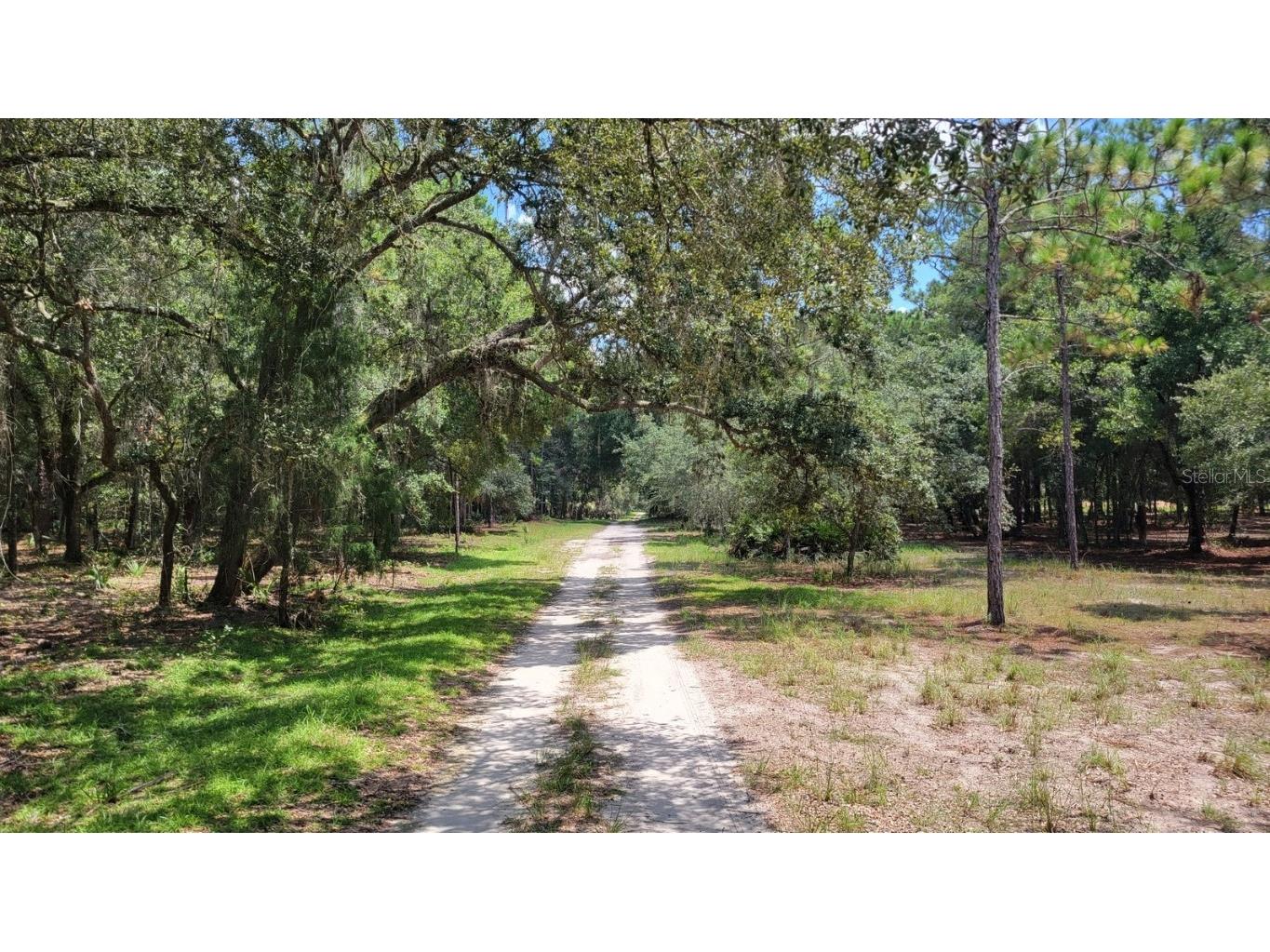 #2 - 12.81ac NE 127th Street Fort Mc Coy FL 32134 OM657079 image1
