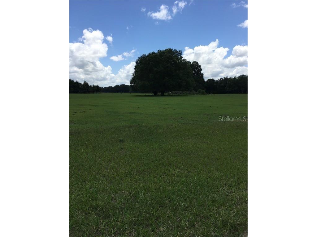 #2 Cr 546a Bushnell FL 33513 T3310765 image1