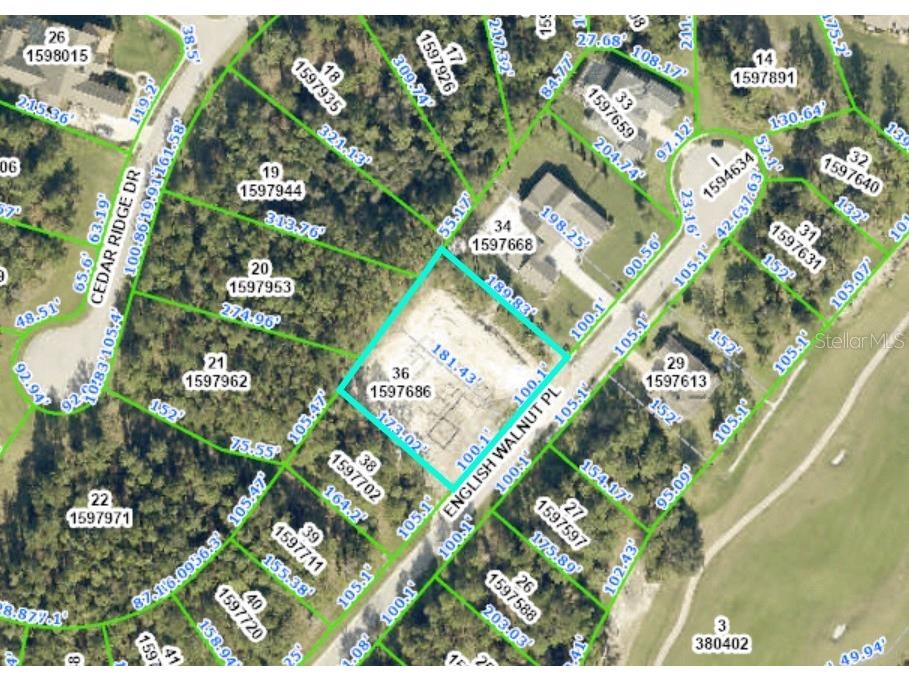 20063 English Walnut Place Brooksville FL 34601 W7861407 image1