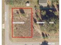 202 Avenue Dunnellon FL 34431 OM654951 image1