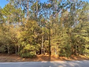 202 Court SW Dunnellon FL 34431 U8213382 image1