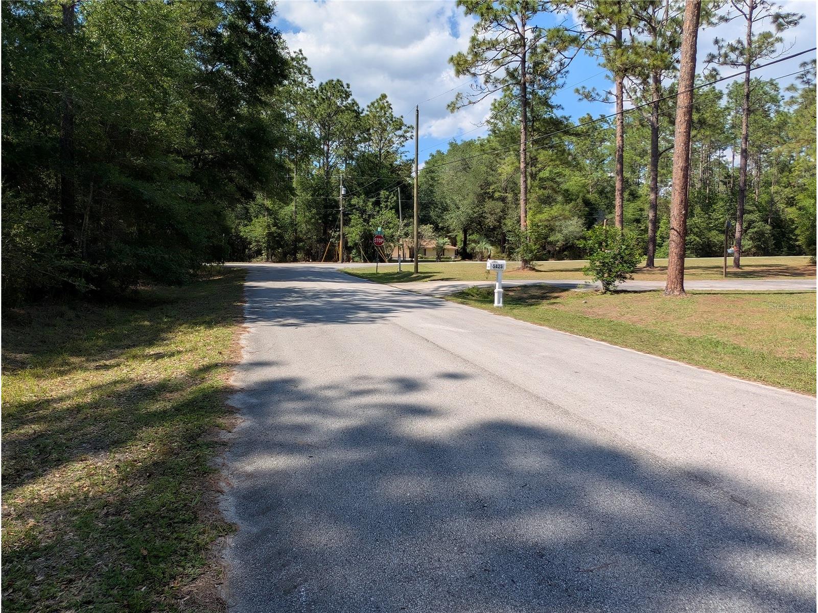 202nd Ct Dunnellon FL 34431 OM724815 image3