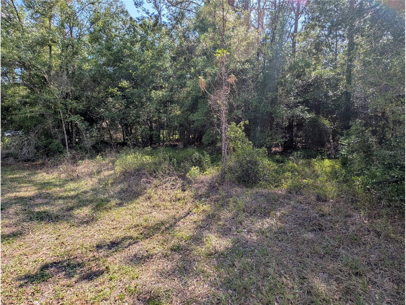 202nd Ct Dunnellon FL 34431 OM724815 image4