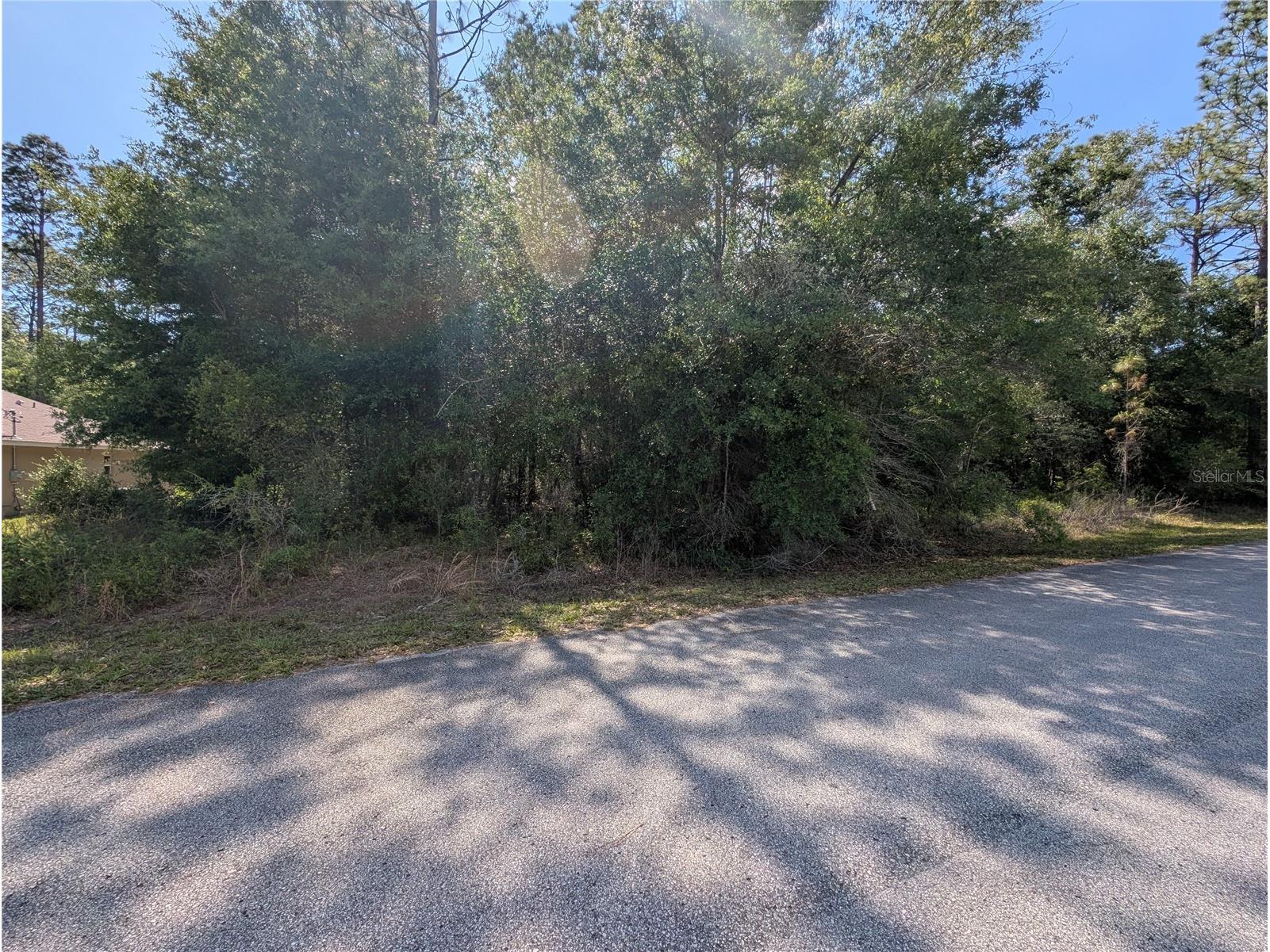 202nd Ct Dunnellon FL 34431 OM724815 image7