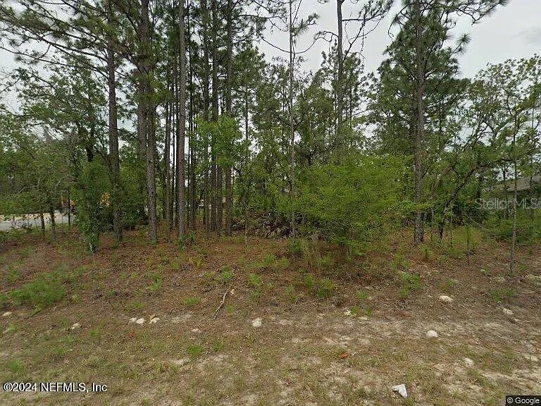 2044 W Riley Drive Citrus Springs FL 34434 O6362925 image1