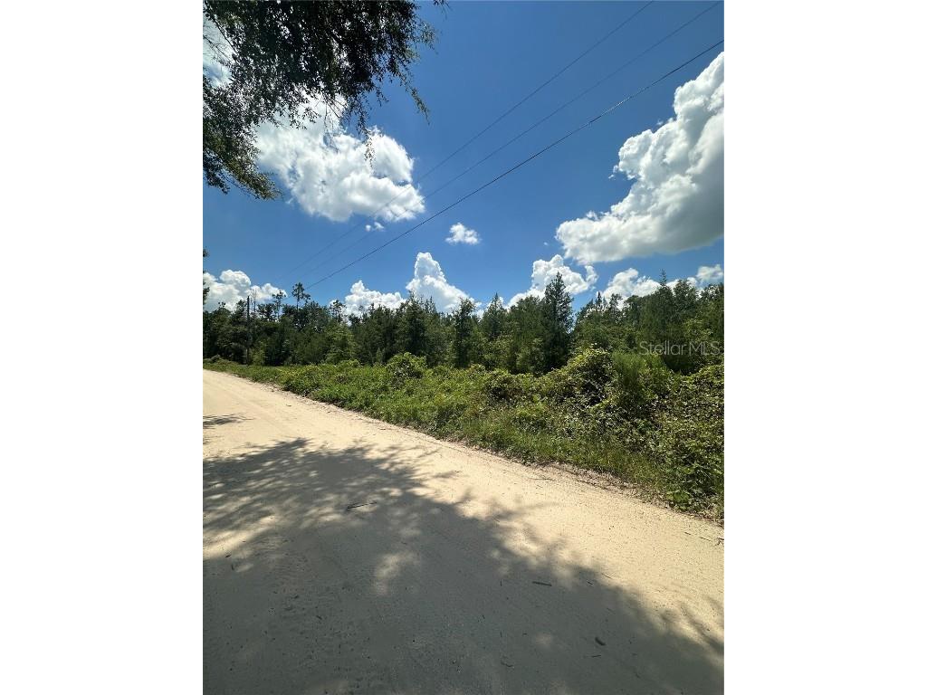 209th Road Live Oak FL 32060 TB8444035 image4