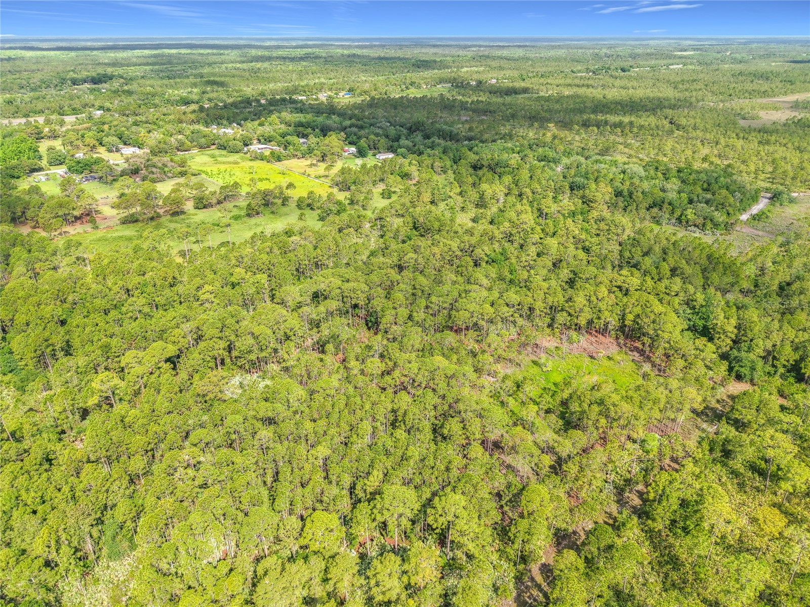20g3403-Ai-5-3.03 Mims FL 32754 O6408459 image5