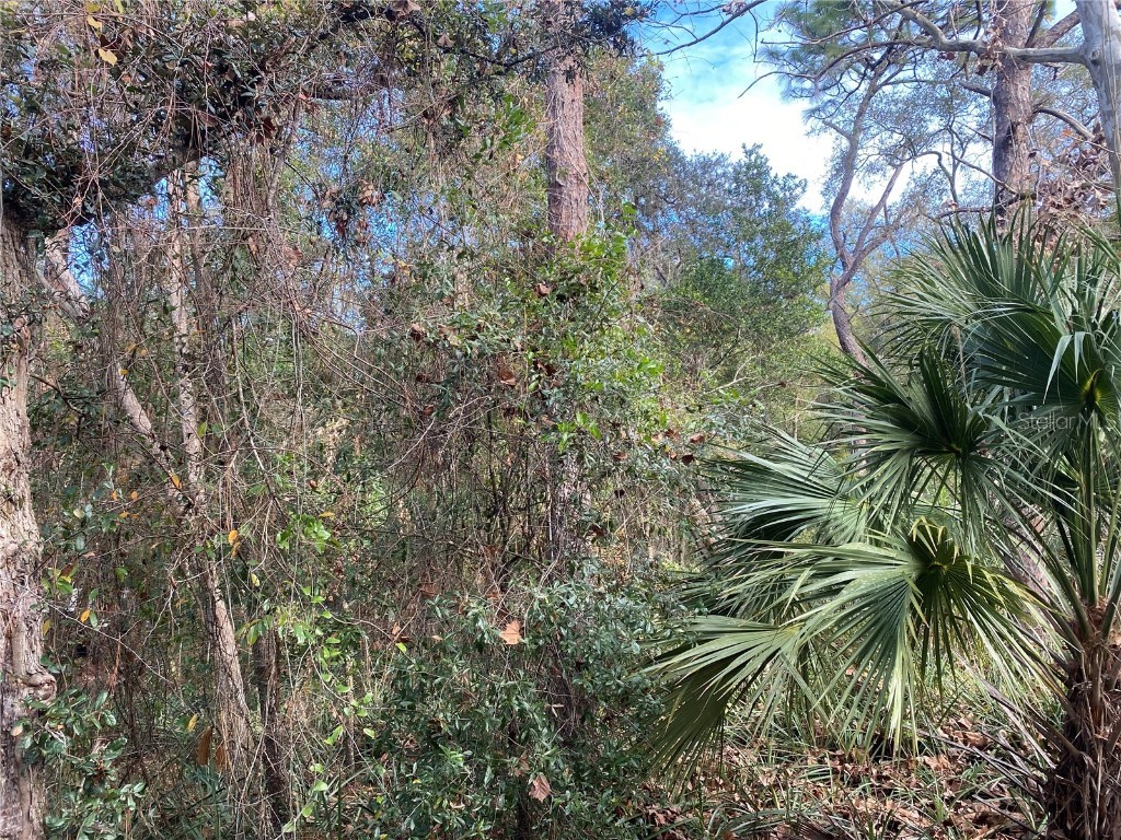 20th Street Orange City FL 32763 V4940350 image1