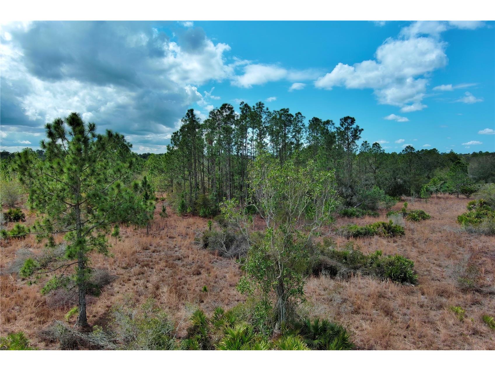2107 405 Ct E Myakka City FL 34251 A4684409 image3