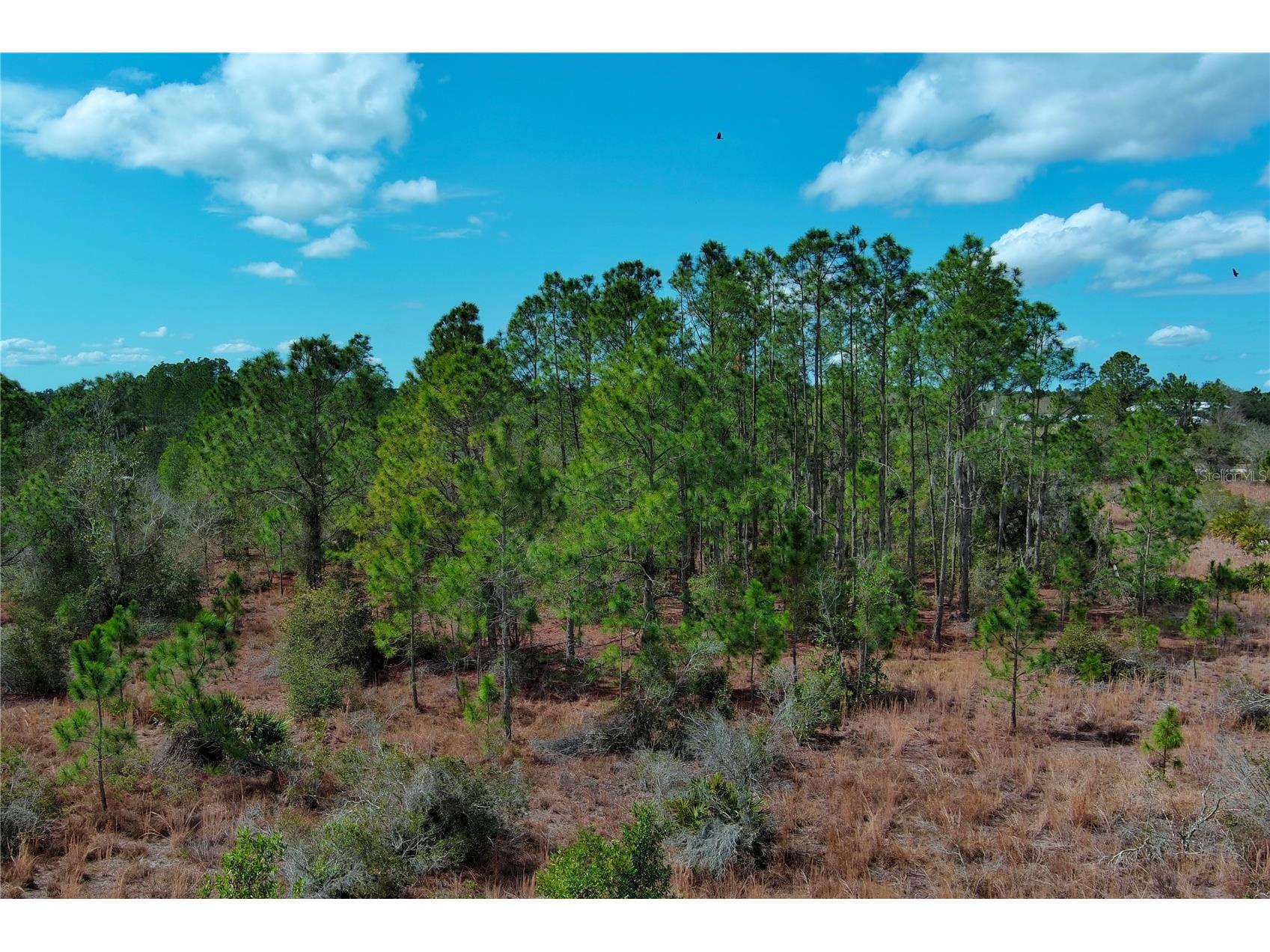 2107 405 Ct E Myakka City FL 34251 A4684409 image4