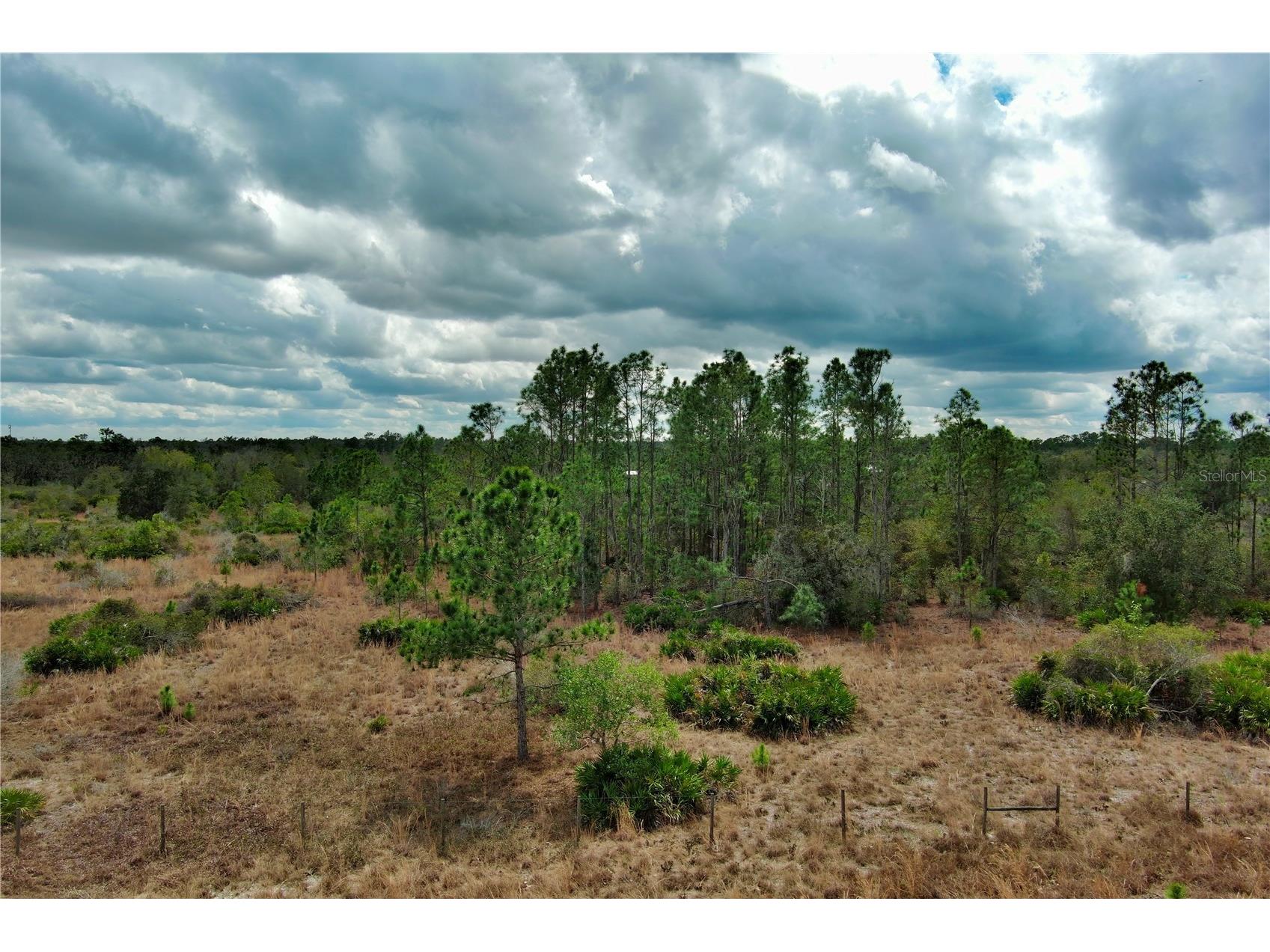2107 405 Ct E Myakka City FL 34251 A4684409 image6