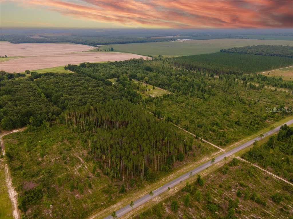 211th Court Live Oak FL 32060 GC514130 image1