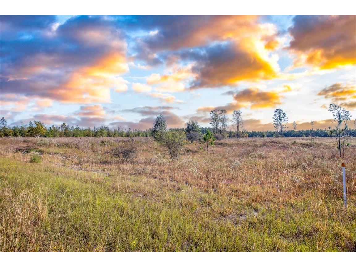 211th Court Live Oak FL 32060 GC517059 image1