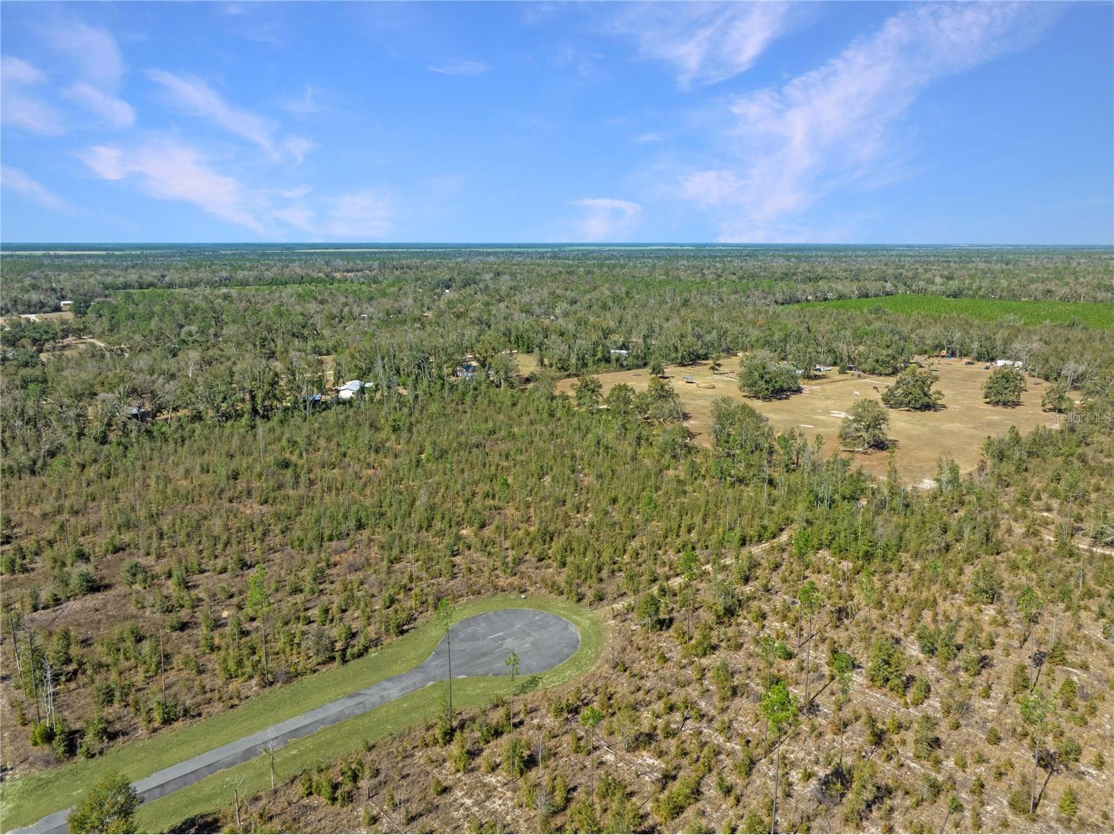 213th Court Live Oak FL 32060 O6387711 image2