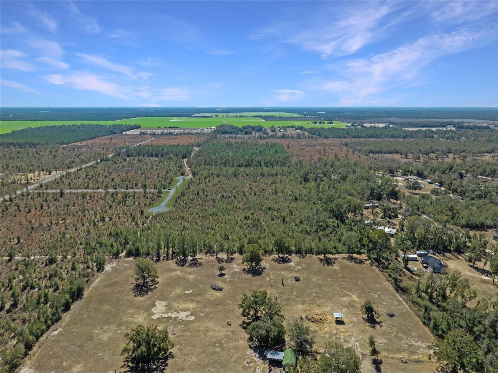 213th Court Live Oak FL 32060 O6387711 image4