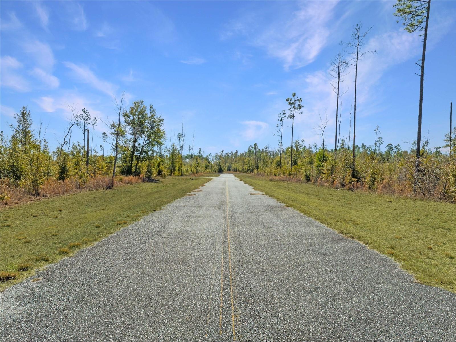 213th Court Live Oak FL 32060 O6387711 image6