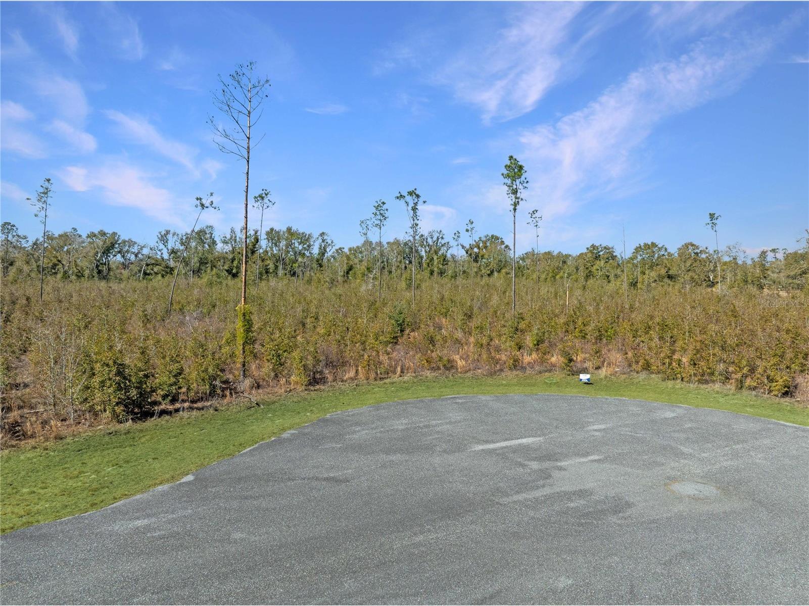213th Court Live Oak FL 32060 O6387711 image7
