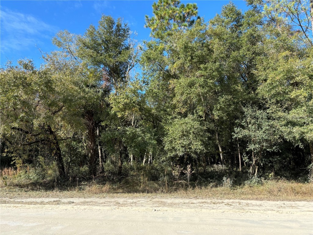 225th Drive Hawthorne FL 32640 - LAKE JEFFORDS GC526561 image1