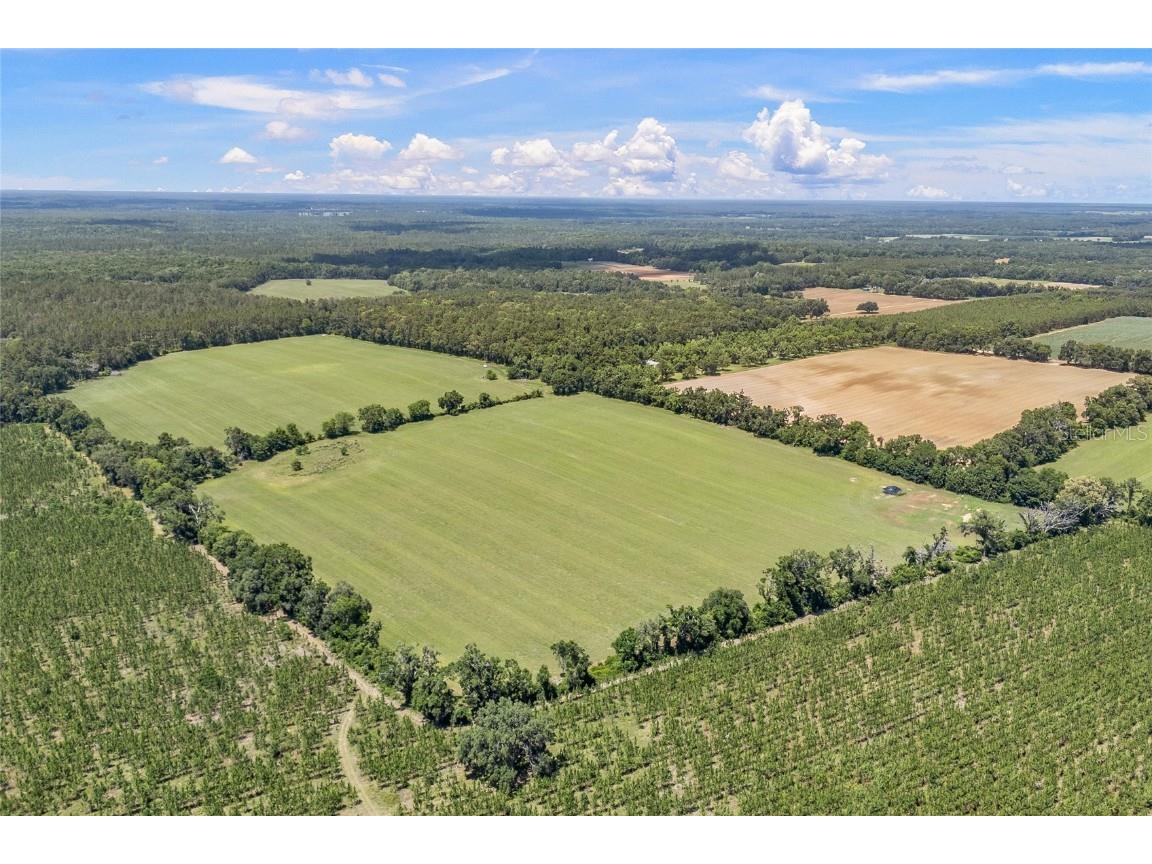 227th Drive High Springs FL 32643 GC535554 image11