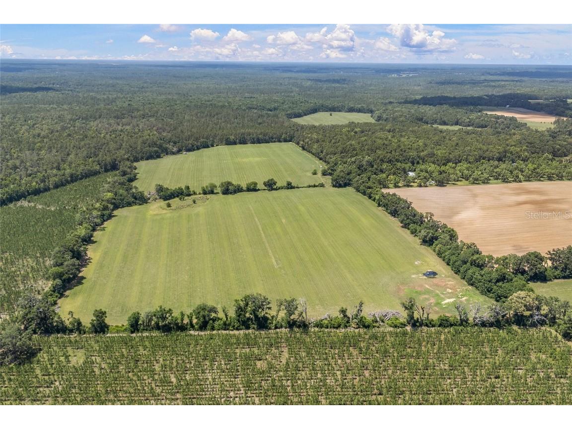 227th Drive High Springs FL 32643 GC535554 image13