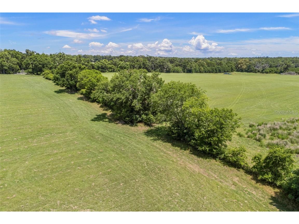 227th Drive High Springs FL 32643 GC535554 image37