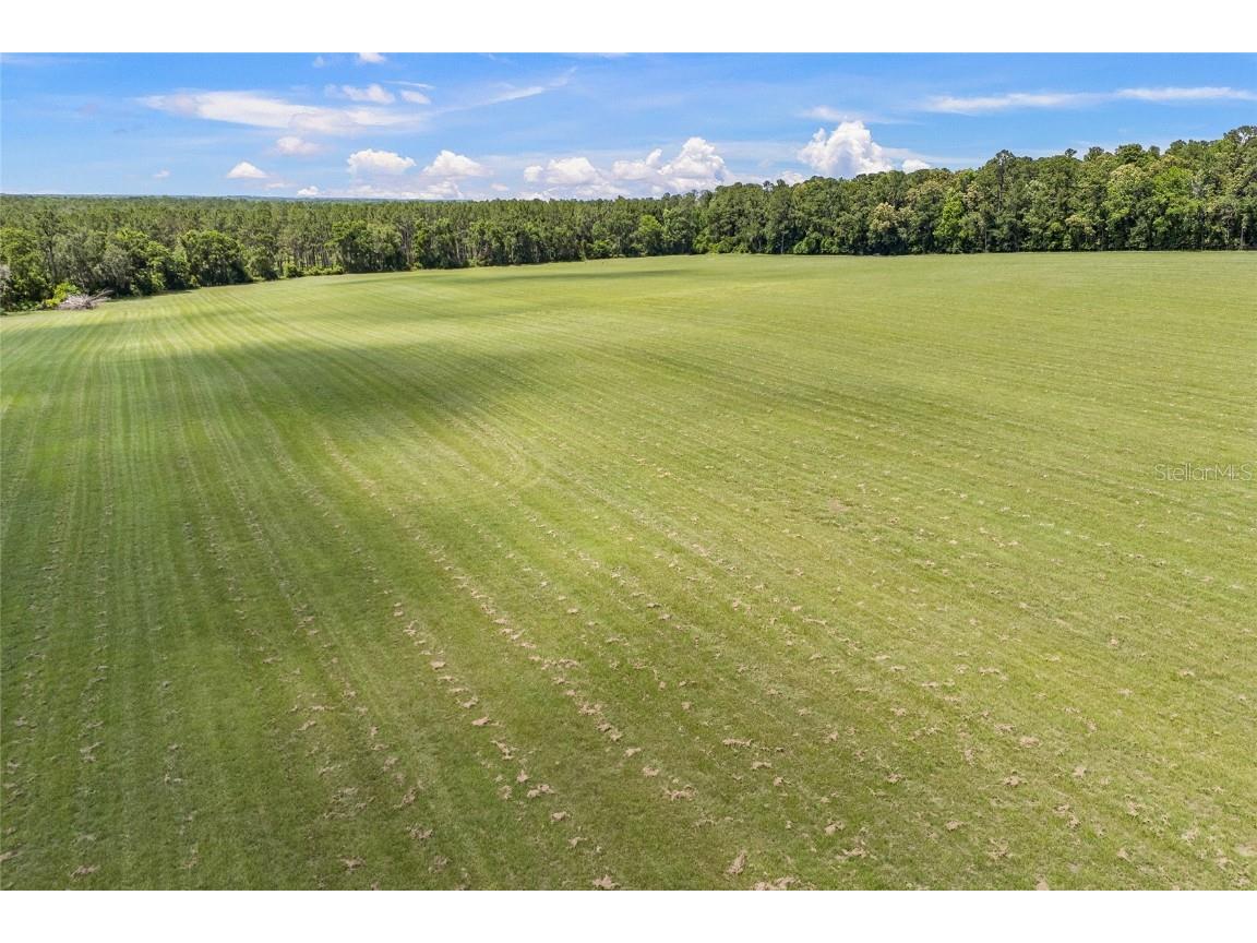 227th Drive High Springs FL 32643 GC535554 image38