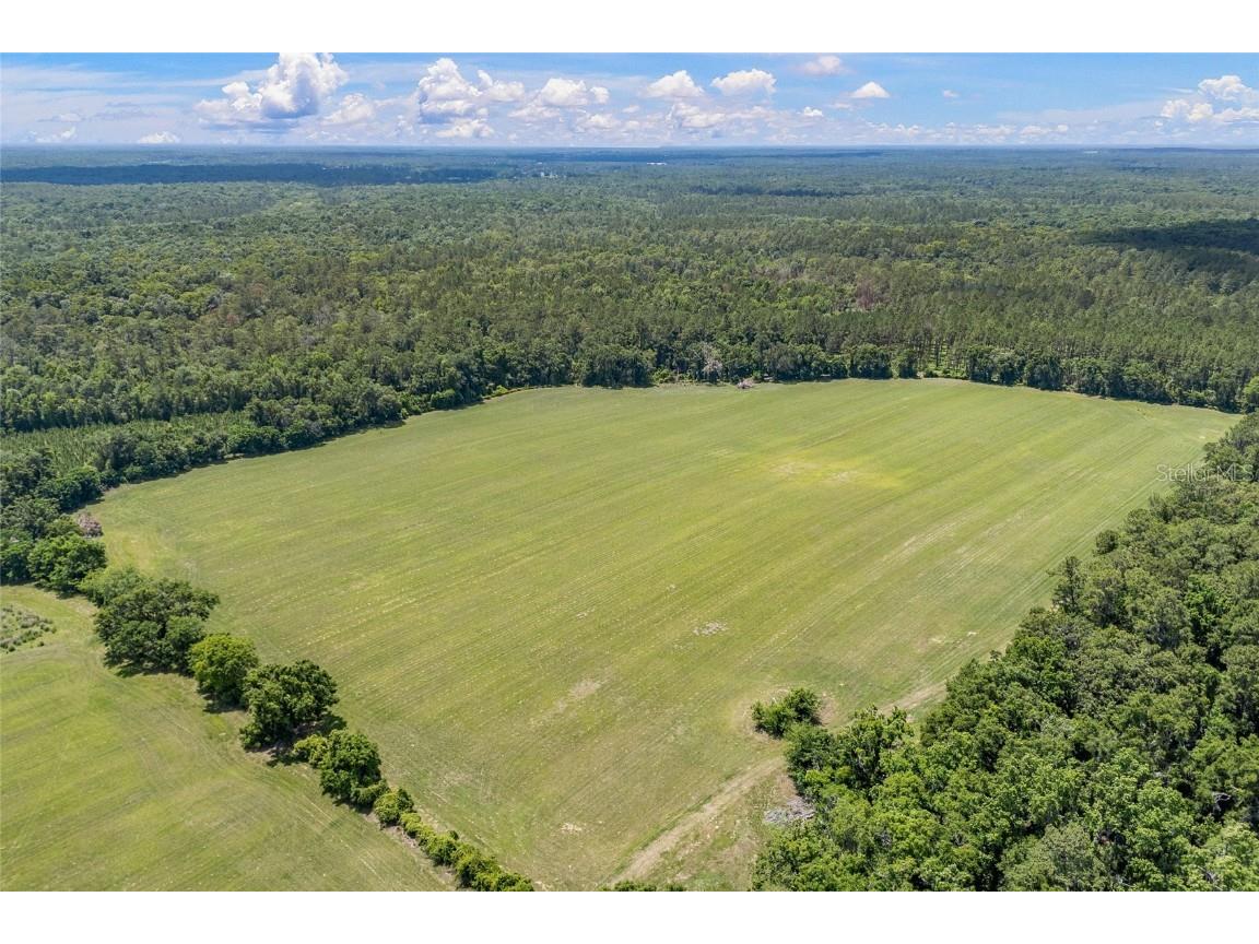 227th Drive High Springs FL 32643 GC535554 image6