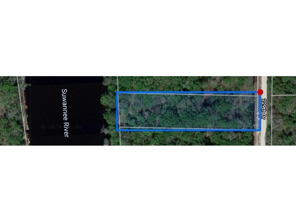 229 Th Drive Live Oak FL 32064 - SUWANNEE RIVER D6138886 image1