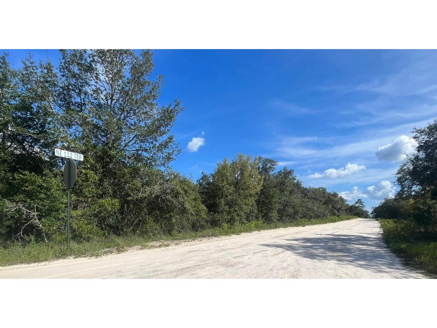 23-12-17 Oak Ridge Estates Blk 27 Lot 1 Williston FL 32696 T3474649 image2